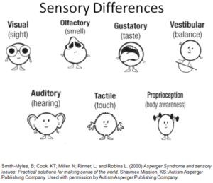 Sensory Differences